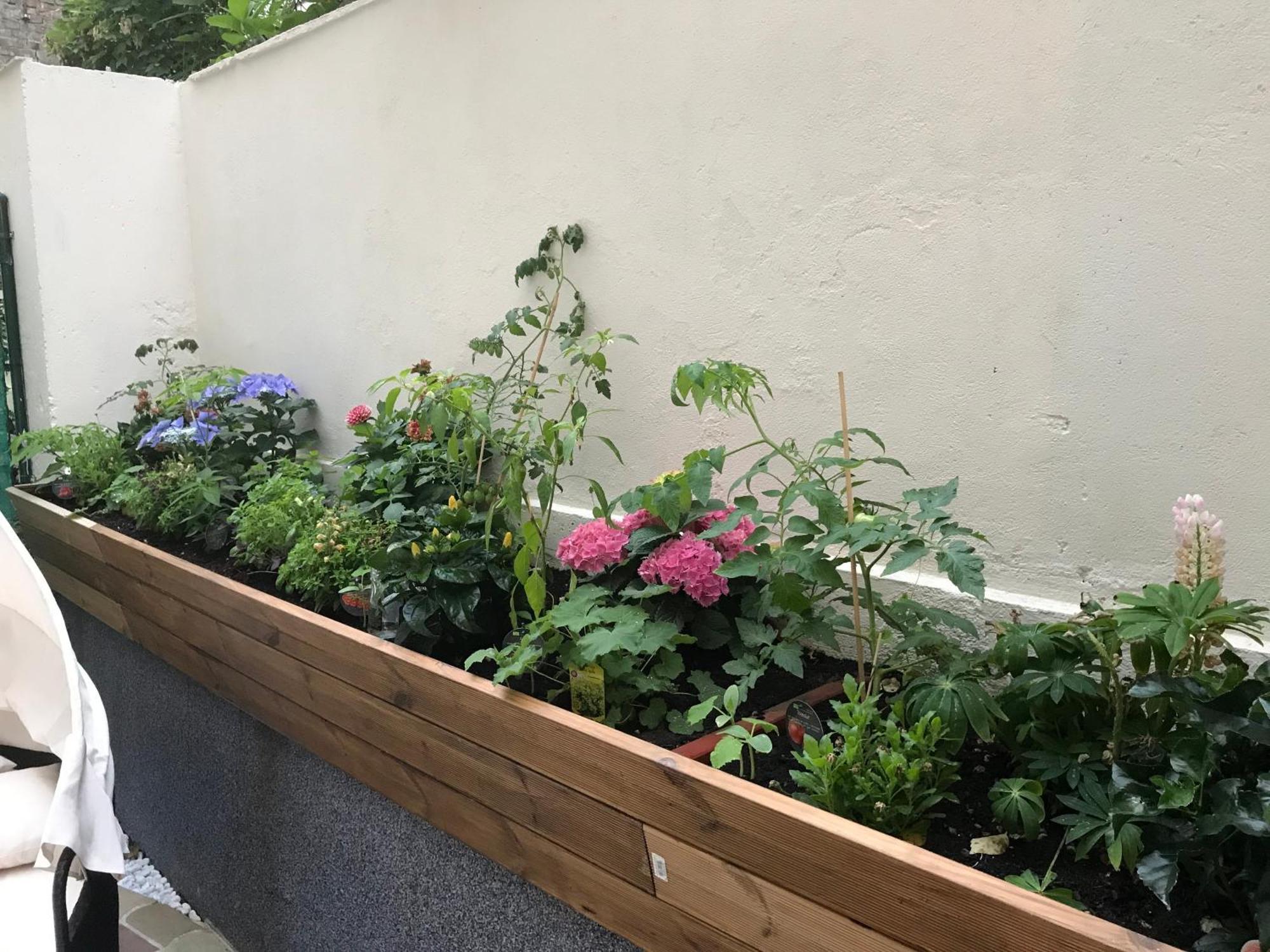 Grosse Wohnung Naehe Zentrum 비엔나 외부 사진